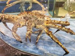 -海天一色海景自助餐厅(西港花园店)