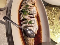 -金美华轩(东方路齐鲁店)