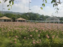 -盈香心动乐园