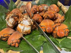 -初色海鲜自助(万丰路店)