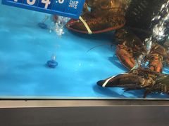 -麦德龙(郑东店)