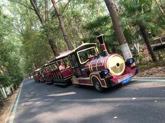 -合肥滨湖国家森林公园