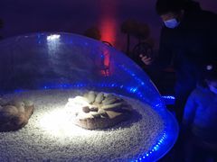 -二连浩特国家地质公园