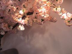 -樱花里音乐餐吧·牛扒椰子鸡(东圃店)