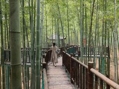 -陶祖圣境风景区