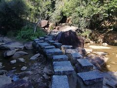 -广州白江湖森林公园