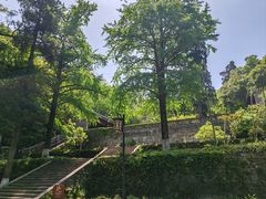 -镇江市南山风景名胜区竹林景区