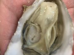 白灼小生蚝-清真海鲜大排档(原芥园道店)