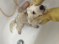 -喵宠乐园·撸猫互动·猫舍