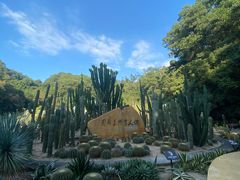 -深圳仙湖植物园