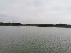 -上海都市菜园