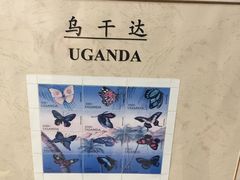 -上海昆虫博物馆