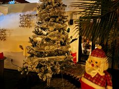 -弦月窗LUNETTE BY AMANDA(复兴路店)