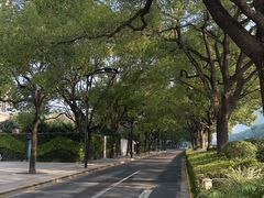 -中国电信(东昌路营业厅)