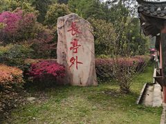 -冶父山国家森林公园