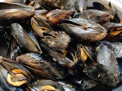 -宾朋海鲜特色美食餐厅·纯手工鲅鱼水饺(兴海路店)