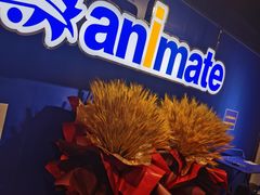 -Animate(工人体育场东路店)