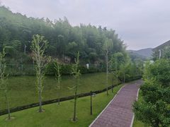 -山水一号·中餐厅