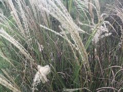 -兴福老面馆(寺路街店)