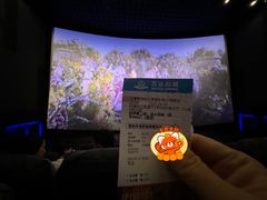 -寰映影城(大融城激光IMAX店)