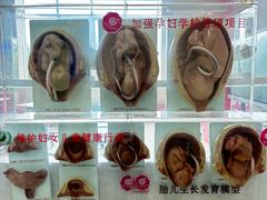 -成都市妇女儿童中心医院(中心院区)