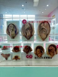 -成都市妇女儿童中心医院(中心院区)