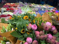 -双季花艺园艺市场(浦东店)