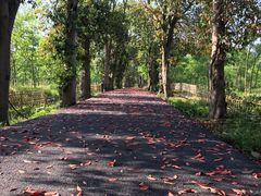 -帐篷客·溪龙茶谷度假酒店