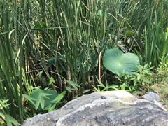 -滨河世纪广场公园