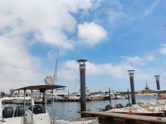 -渡海小渔村.老辈日照菜