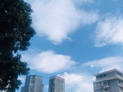 -ZARA(成都远洋太古里店)