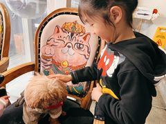 -more than meow吴止猫主题餐厅(承德 中船汇店)