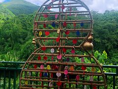 -西双版纳原始森林公园