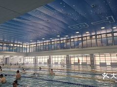 -北京科技大学-游泳馆