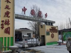 -横道河子东北虎林园