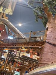 点击看大图 -卡通尼·Safari非洲探索乐园·生日会(金桥国际商业广场店)