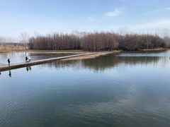 -溱湖国家湿地公园