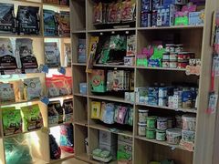 -天使宠物医院·犬猫分诊(彩虹店)