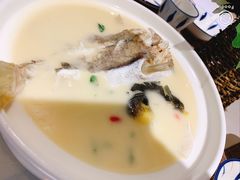 东坡河豚-肆月河豚·新淮扬(金融街店)