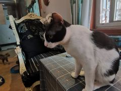 -万小咖.猫咖(中山路天虹店)