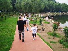 -丁香湖公园