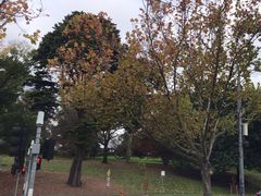 -墨尔本皇家植物园