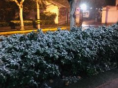 -傣妹火锅(四川北路店)