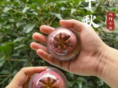 -南宋胡记(杭州体育场路店)