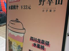 -野萃山·潮汕厚果汁(十亩地店)