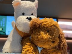 -霸王茶姬(上海浦东机场店)