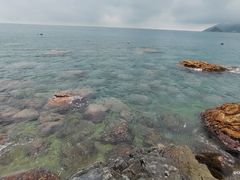 -西涌国际滨海旅游区