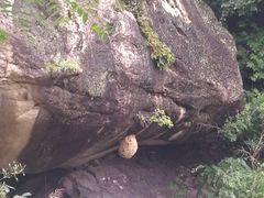 -云岫谷游猎自然风景区