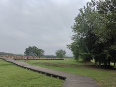 -盘龙城国家考古遗址公园