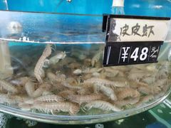 -叶存利海鲜大馅饺子(东戴河止锚湾店)